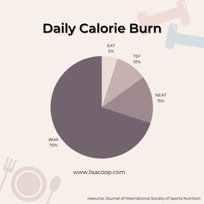 Daily calorie burn pie chart